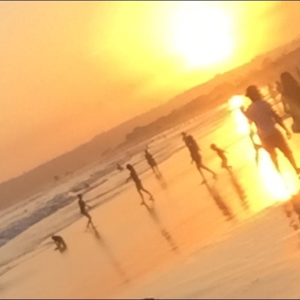 Meet your Posher, Martha